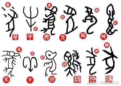 2019年特馬生肖圖，傳統(tǒng)與現(xiàn)代交織的幸運(yùn)符號(hào)二0一九年特馬生肖圖