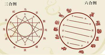 探索六合大全，傳統(tǒng)智慧與現(xiàn)代生活的完美融合六盒大全經(jīng)典全年資料生肖靈碼表