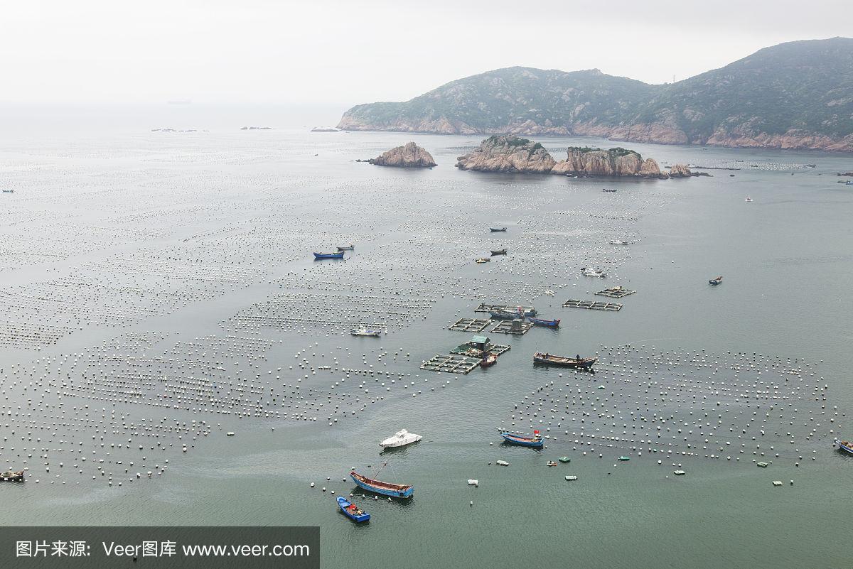 探索大洋島的娛樂新天地，揭秘大夢洋論壇大洋島在哪里