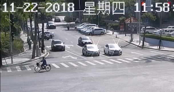 粵彩網，廣東文化與現代科技的完美融合粵彩網站