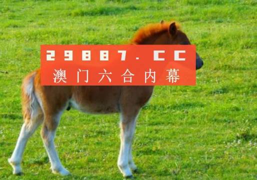 澳門6合開彩視頻，最新版查詢表格的深度解析與使用指南澳門6合開獎結果記錄