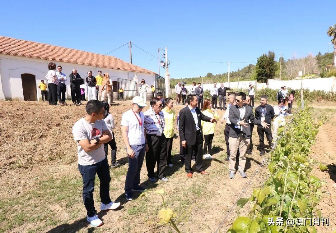 澳門6合開彩全年查詢表，手機(jī)版下載與安裝指南2021澳門6合開彩開獎(jiǎng)