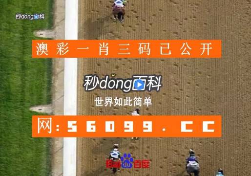 掌握未來，從這里開始 最新澳門6合開彩查詢官網(wǎng)網(wǎng)址全攻略澳門6合開彩開獎結(jié)果